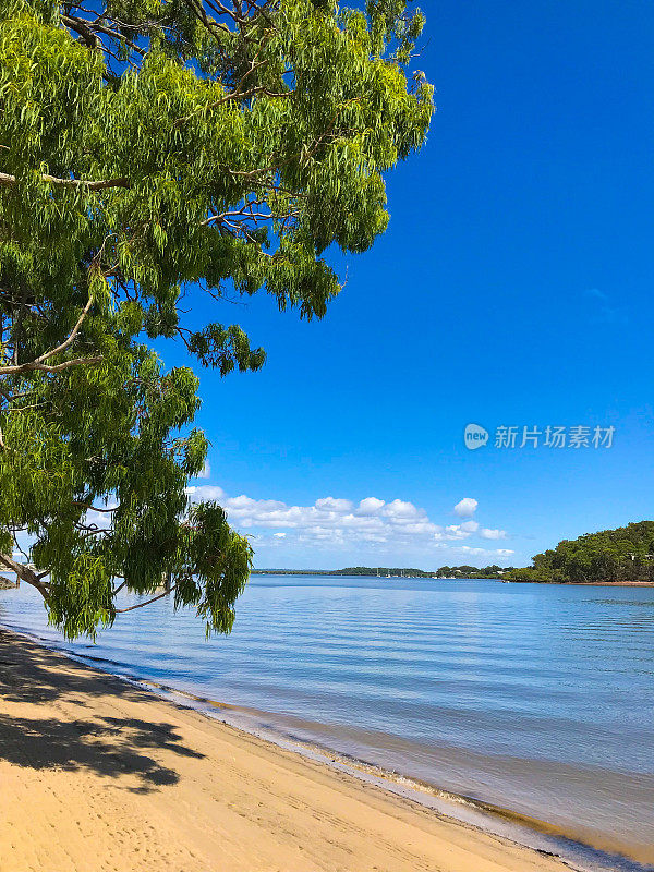 澳大利亚昆士兰州卡拉加拉原始岛屿海滩景观