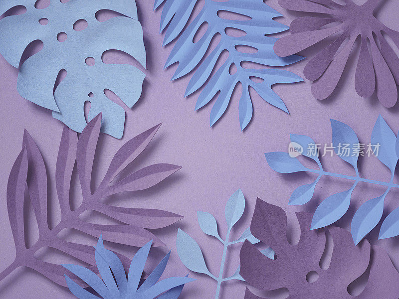 3d渲染，数字插图，纸丛林树叶，花卉装饰，热带自然，植物背景，柔和的颜色