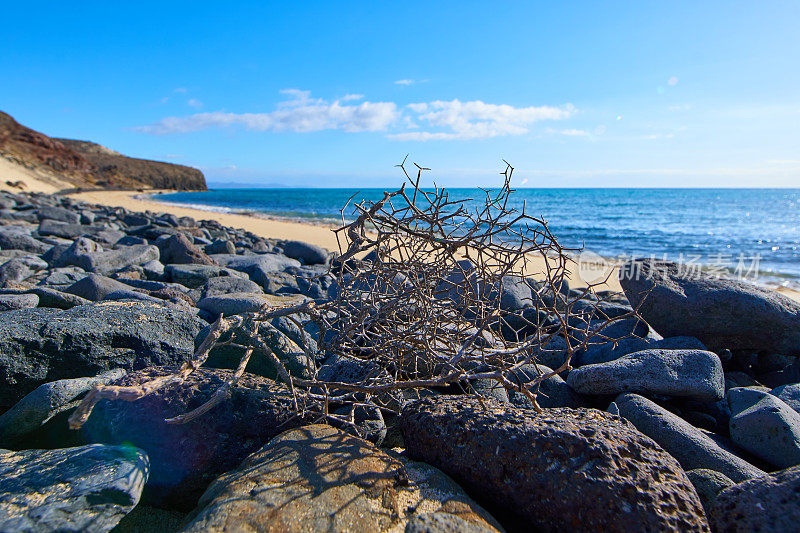 马尔诺布雷海滩富埃特文图拉，在阳光下呈现出水色。