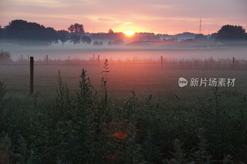 日出时朦胧的景色