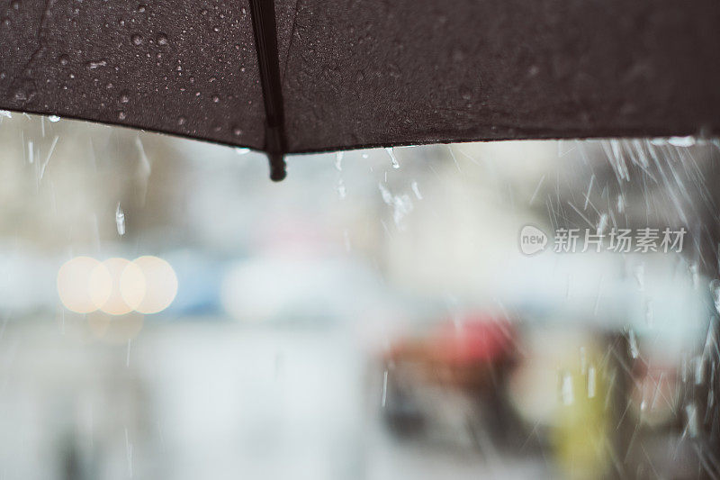 下雨的春日下了一把伞