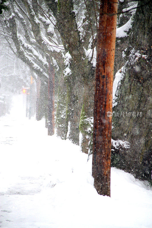 郊区的雪