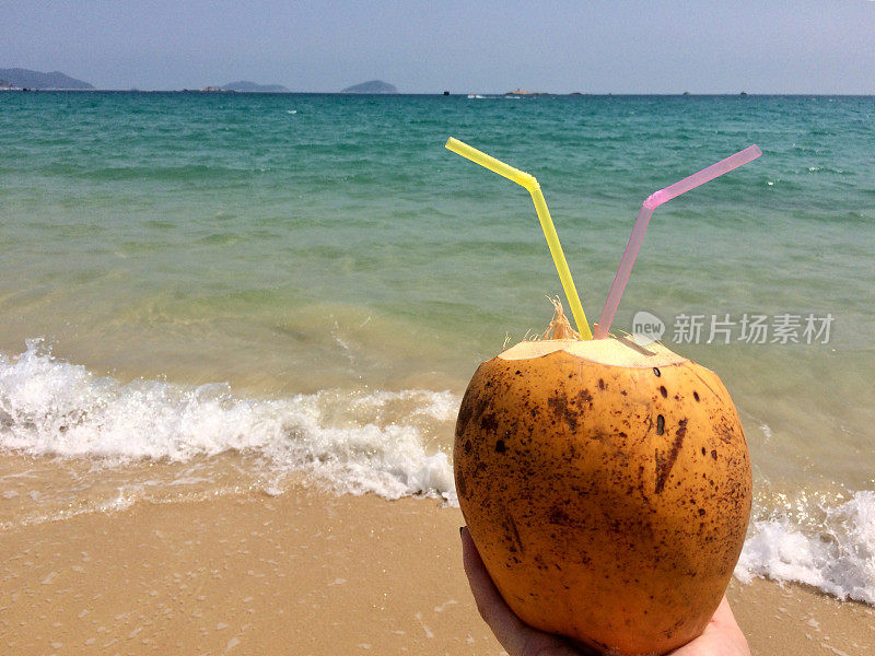 椰子在海上风景