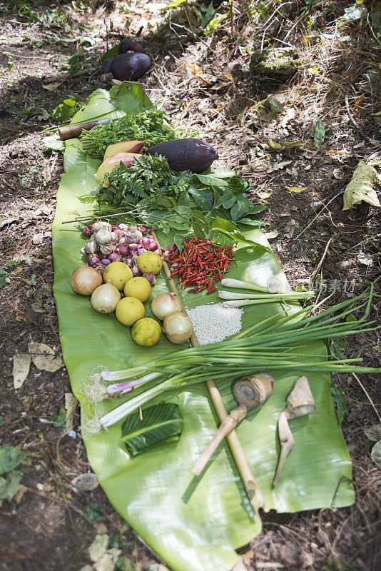 香料，蔬菜和香草在泰国丛林中烹饪