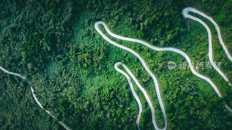 通过森林的道路俯视图