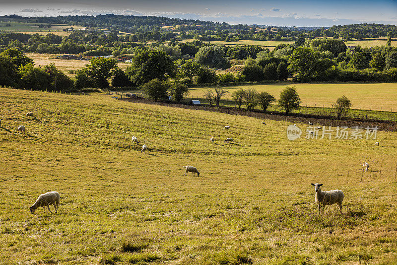 英国伍斯特郡牧羊牧场阳光农场风景优美