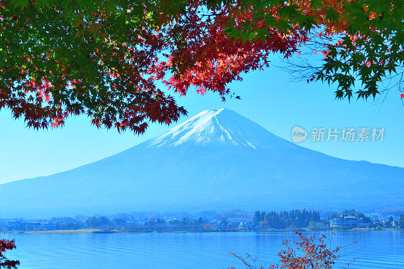 日本富士五湖地区的富士山和秋叶