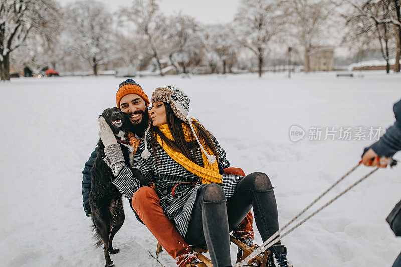 一对夫妇在雪中与狗玩耍