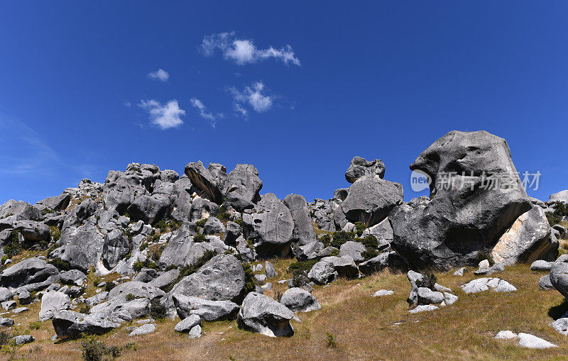 石灰岩地层:新西兰
