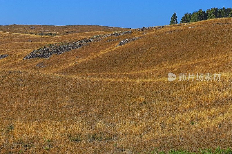 巴西南部格兰德岛格兰德岛附近，日出时连绵起伏的景色