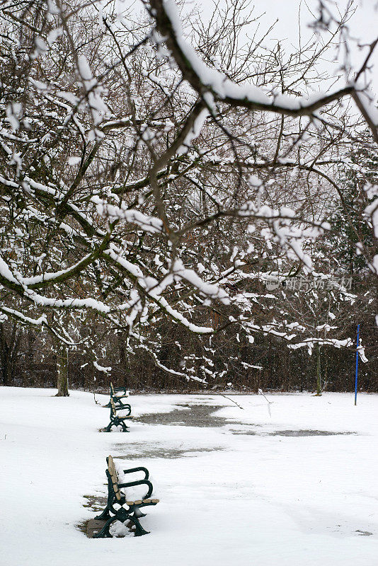 雪景多伦多公园