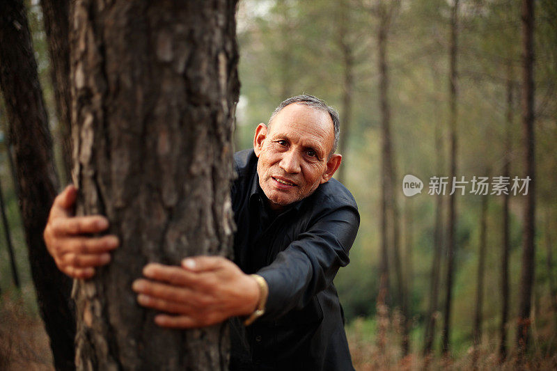 老年男子抱着松树树干