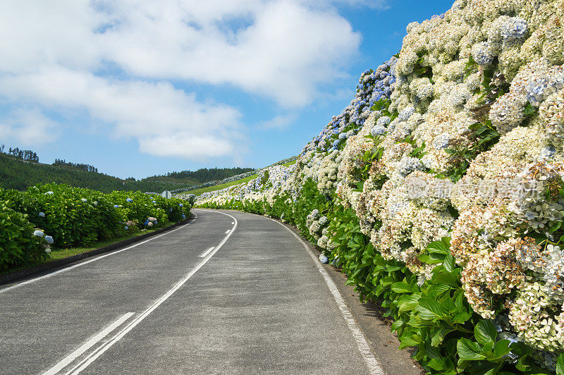 亚速尔群岛乡村公路