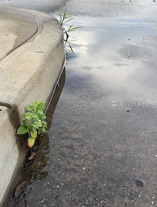 雨后城市的限制