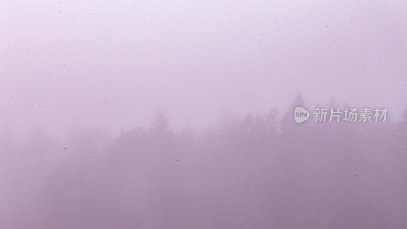 粉红色紫色雾雾的树线背景