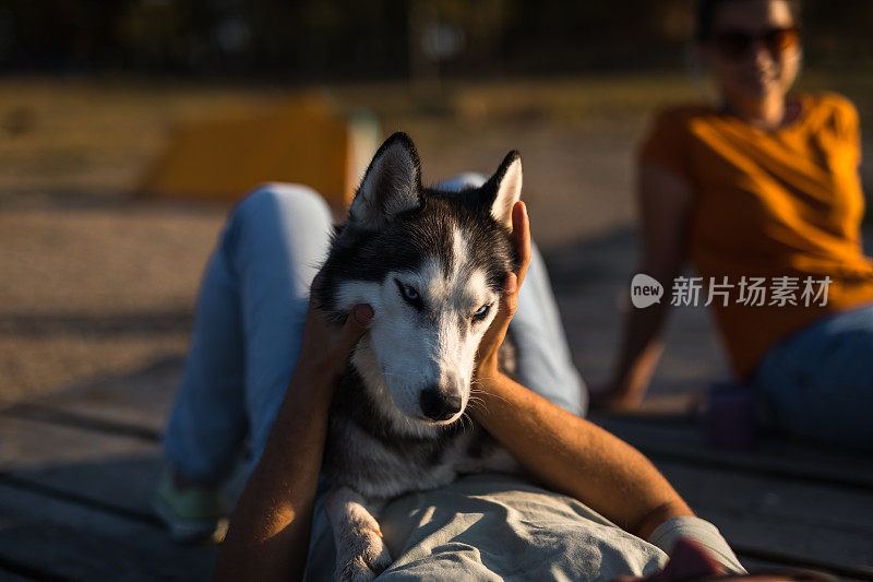 男人抱着他心爱的宠物