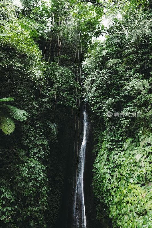 美丽的隐藏瀑布在热带丛林的巴厘岛，印度尼西亚