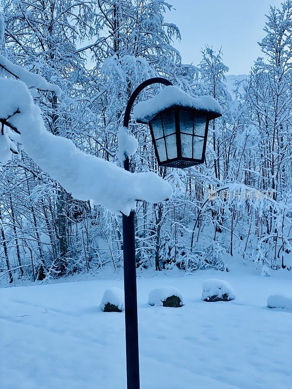 路灯被雪覆盖