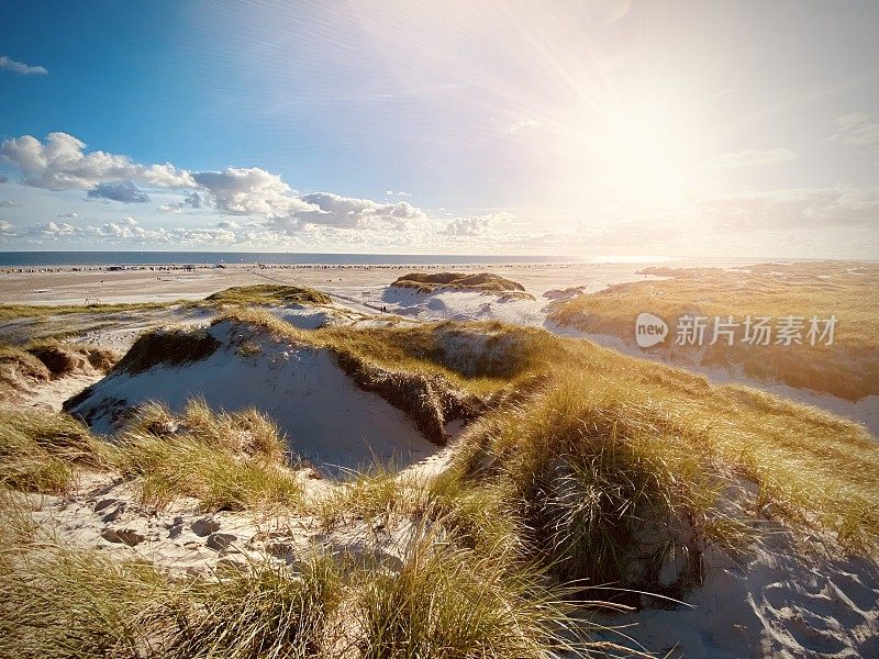 海岸瓦登海