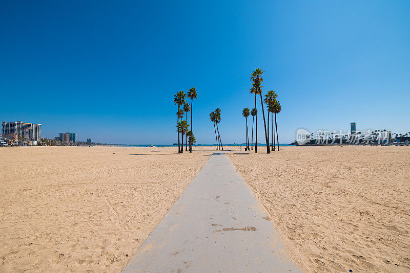 加州长滩的棕榈树海滩