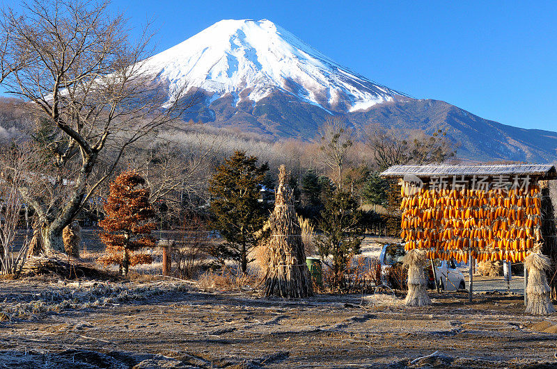 从山梨县的大野村看富士山的冬天