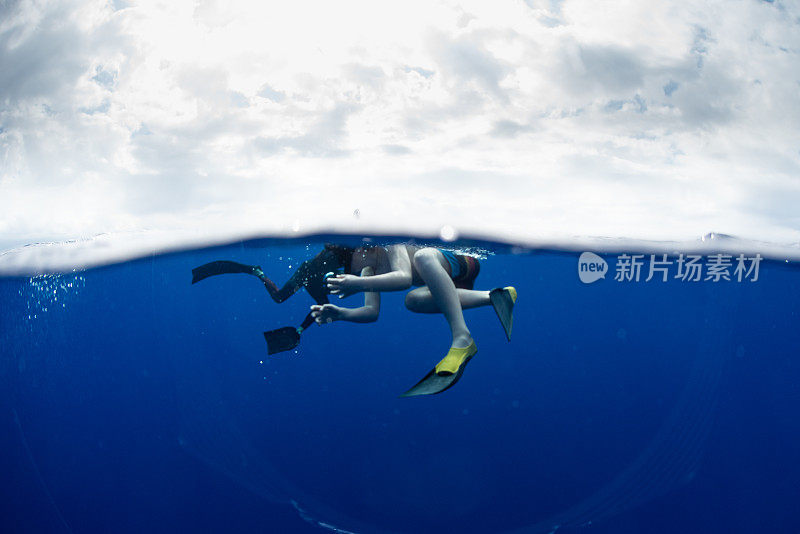 父子俩和鲨鱼一起在夏威夷的深水里游泳。