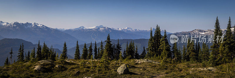 夏天惠斯勒黑梳山景。