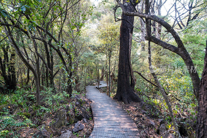 金湾观景，阿贝尔塔斯曼国家公园，Tākaka，新西兰