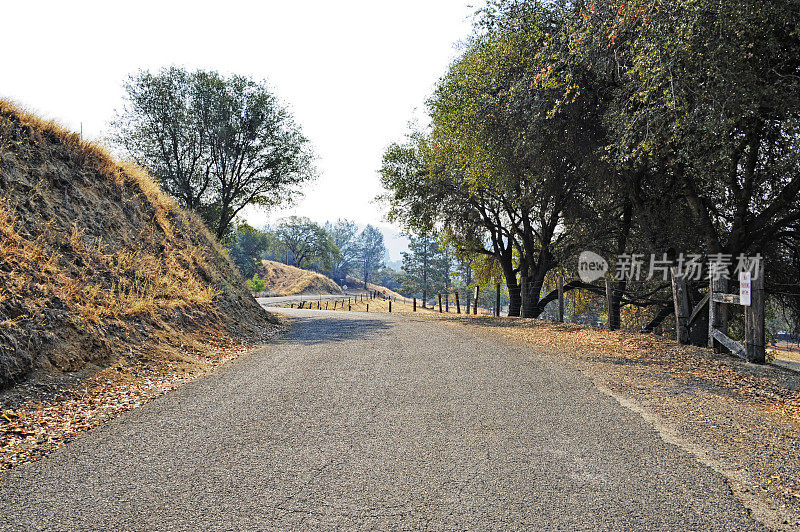 乡村道路围栏和树木