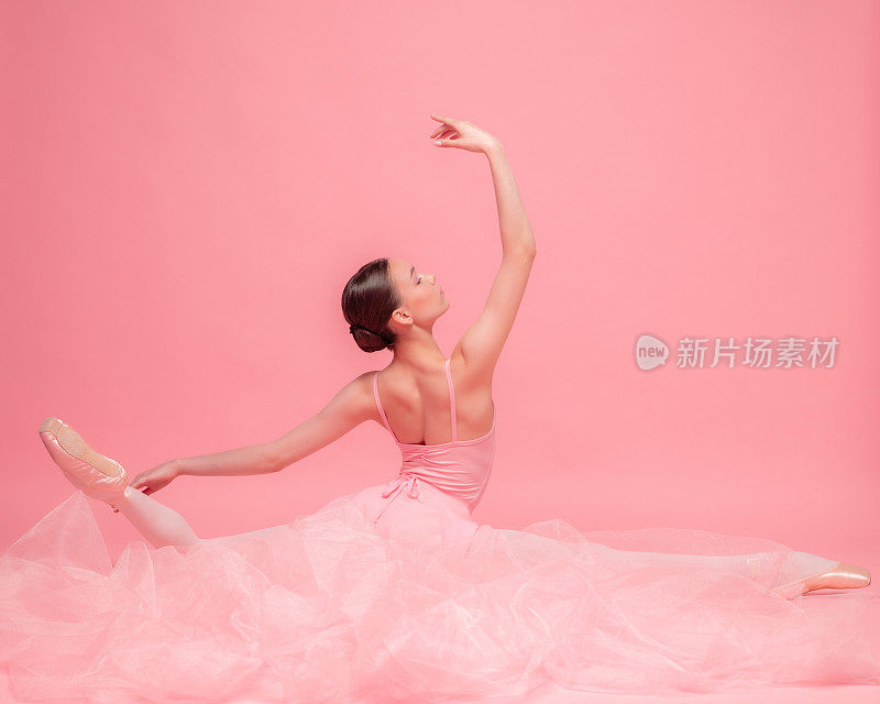 美丽的女孩，优雅的芭蕾舞者在粉红色的工作室背景孤立摆姿势。艺术，运动，动作，灵活性，灵感概念。