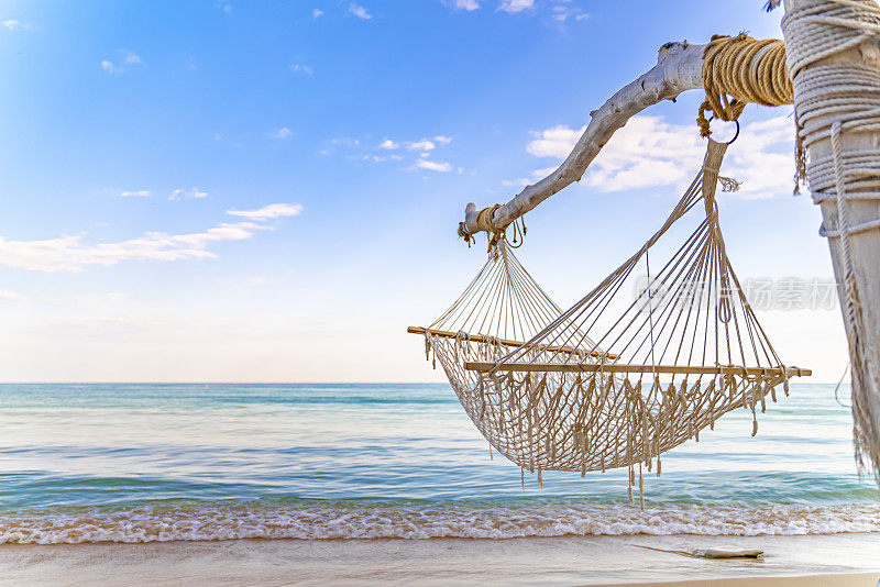 空旷美丽的海滩上，大树上挂着一张吊床。吊床用绳子绑在树上，黑海，保加利亚