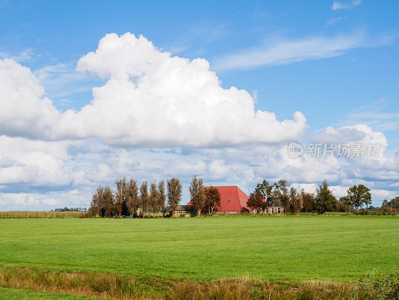 荷兰弗里斯兰附近的沼泽景观与农舍