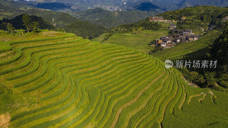 梯田