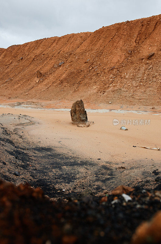 废弃土地上的死树桩与橘山和垃圾，生态概念