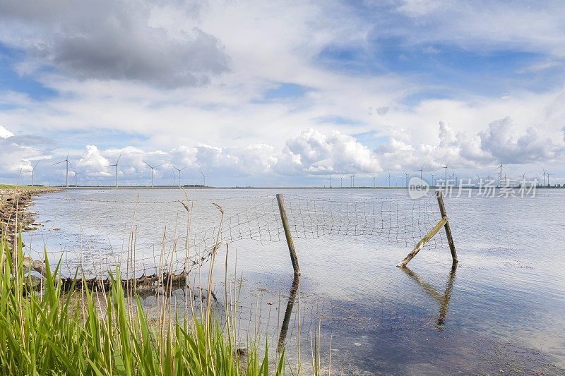 位于荷兰南荷兰省Overflakkee岛上的batoord附近的Grevelingenmeer，背景是一座风电场