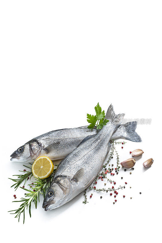生的鲈鱼，新鲜的海鲜，两条鱼与柠檬香芹香草和香料分离在白色