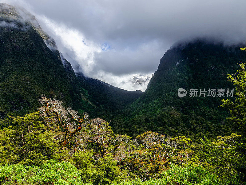 通往新西兰米尔福德峡湾的路上，积雪覆盖的山峰和悬垂的山谷。