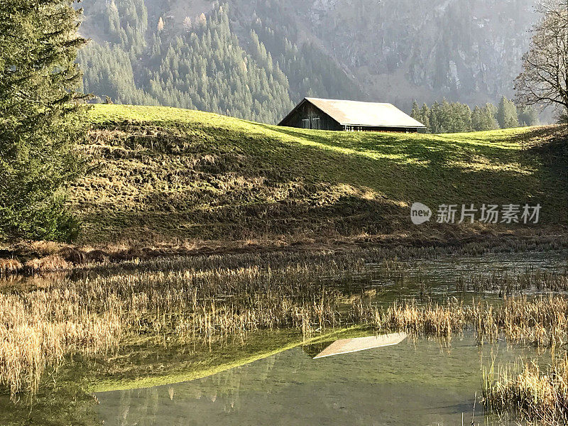 瑞士伯尔尼州-劳enen，劳ensee(格施塔德附近的劳enen湖)