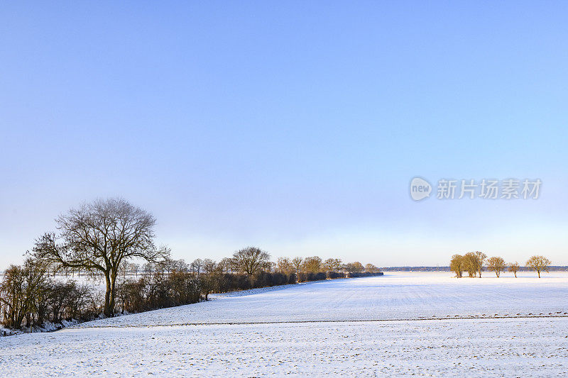 IJssel河附近的冰雪平原