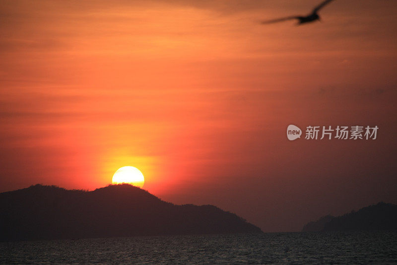 一群鸟排成队形飞过黄色的天空