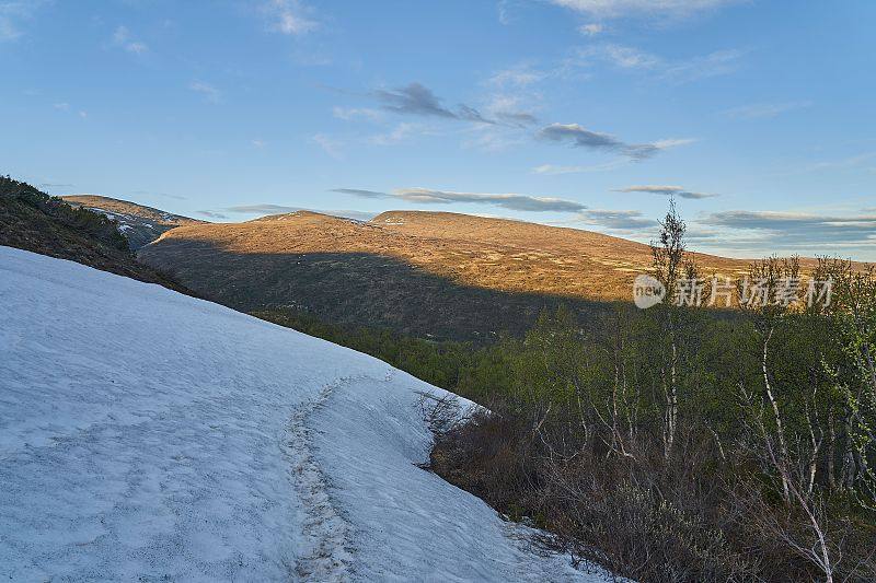 Dovrefjell国家公园的寒冷苔原景观