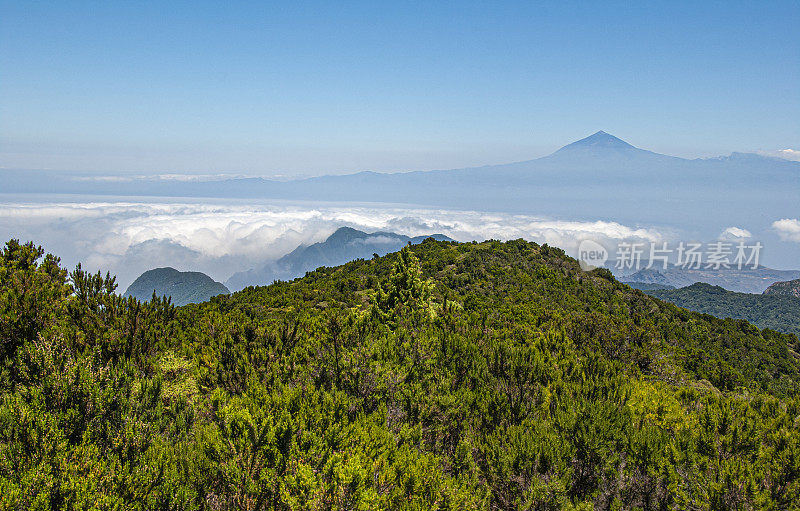 在加那利岛拉戈梅拉徒步旅行。天气晴朗时，你可以很好地欣赏邻近特内里费岛(Tenerife)上的泰德火山(3715米)。