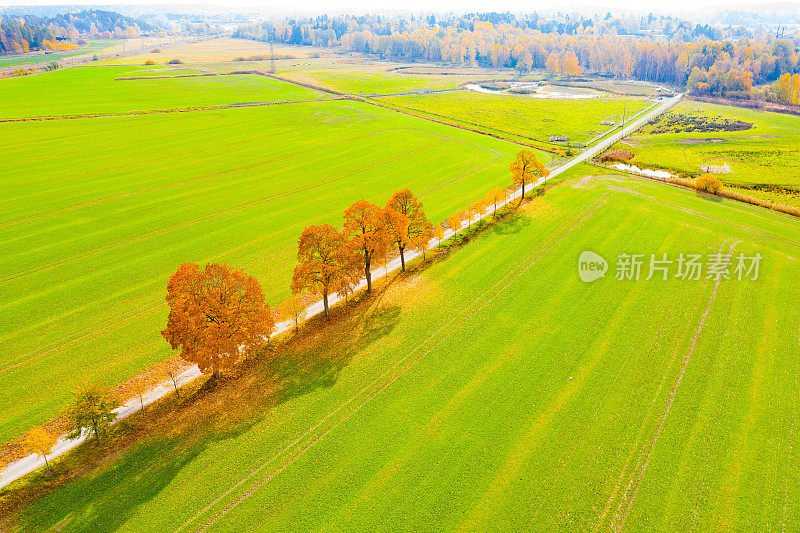 微小的道路景观，从上面鸟瞰