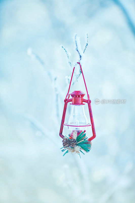 红红的圣诞灯笼挂在白雪覆盖的树枝上