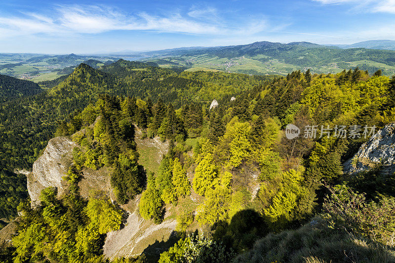 松树山景观，波兰