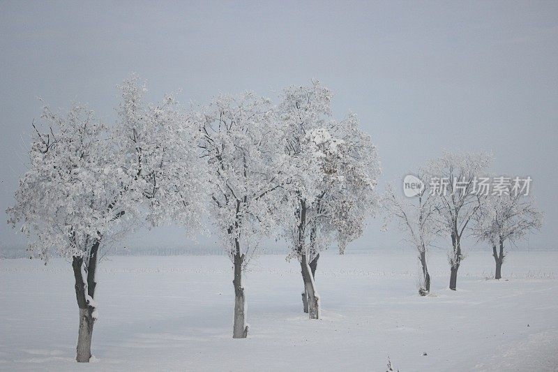 冬天雪风景画