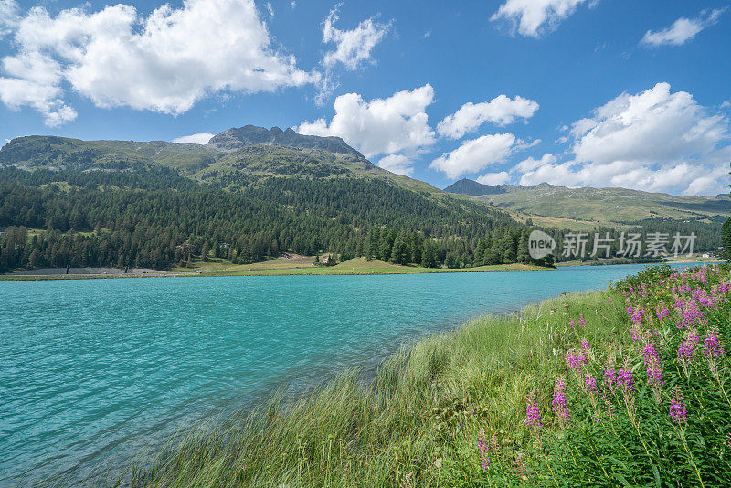 美丽的绿松石山湖在瑞士阿尔卑斯山格劳宾登州