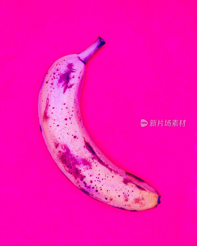 时髦成熟的香蕉流行艺术风格从上至下以纯品红色为背景