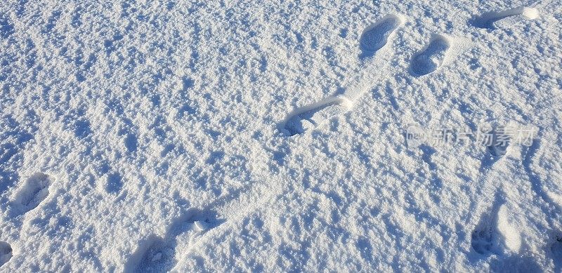 脚步在雪地