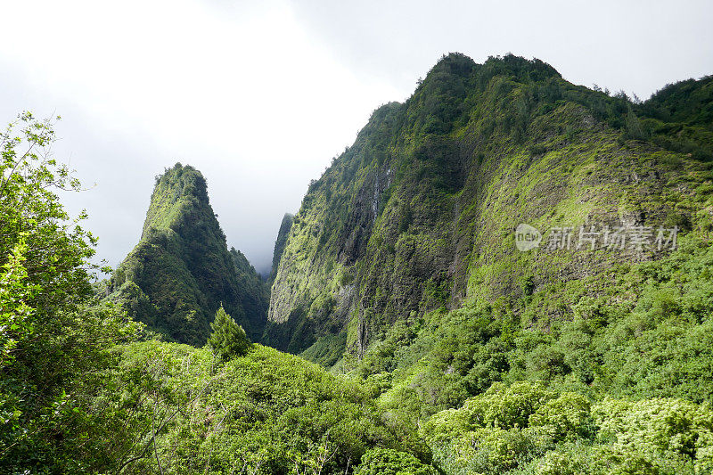 艾奥谷州立公园，毛伊岛，夏威夷，美国